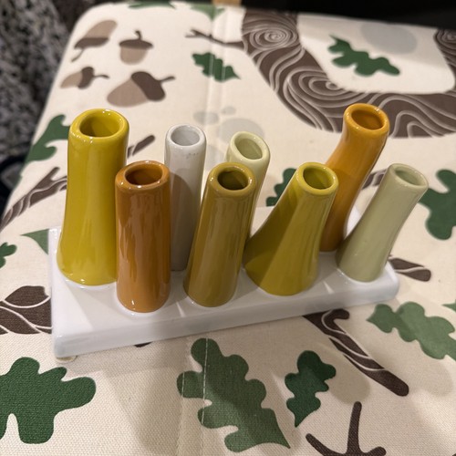 Chive pooley fall winter color - fall,