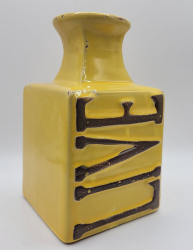 Live decorative goldenrod - -,