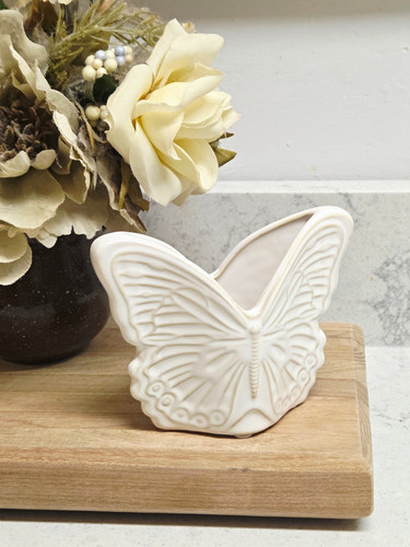 Beautiful ivory butterfly - beautiful,
